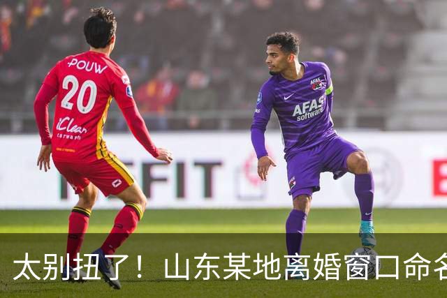 太别扭了!山东某地离婚窗口命名像殡仪馆,取名“松柏”“玉兰”引吐槽,评论区炸锅